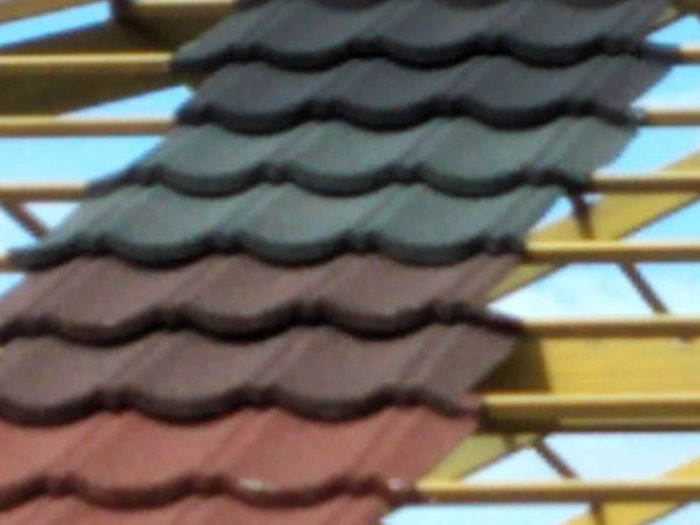 Large Image 12